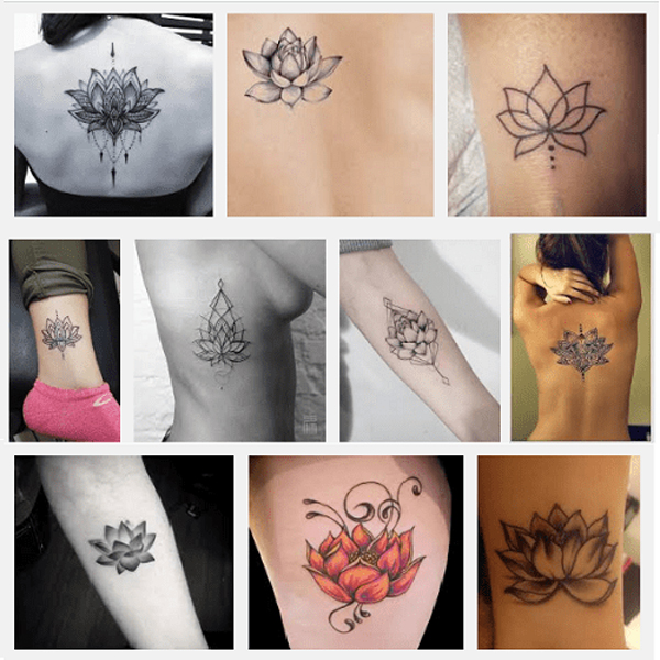 Flower Lotus Does What A Mean Tattoo