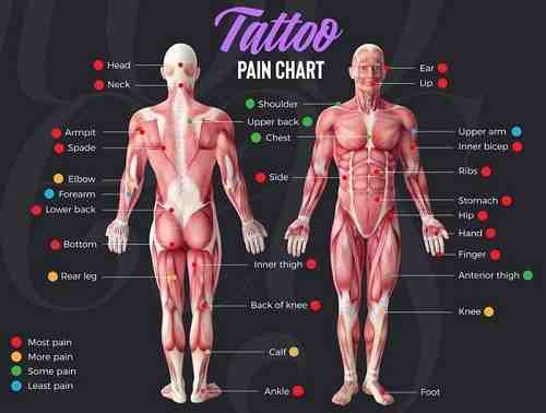 Where is the least painful place to get a tattoo?